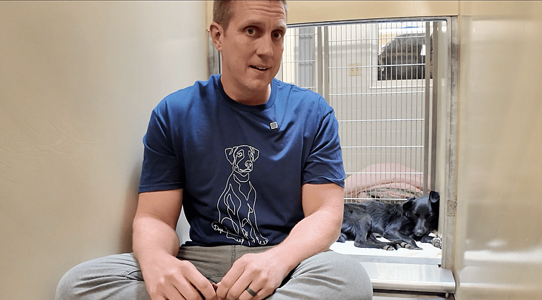 Sitting with dogs 72: Billy